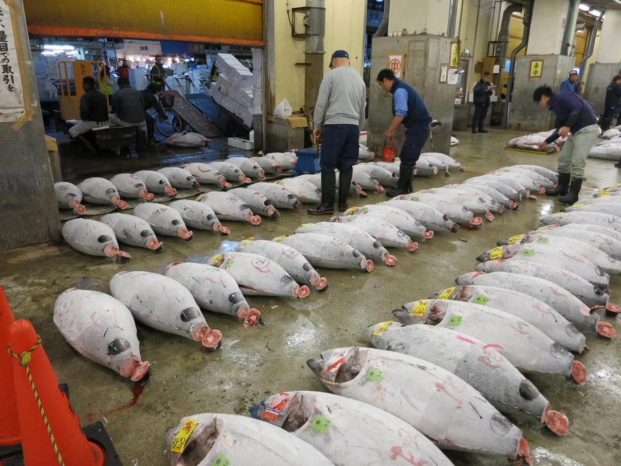 Tsukiji, Chūō, Tokyo, Japan