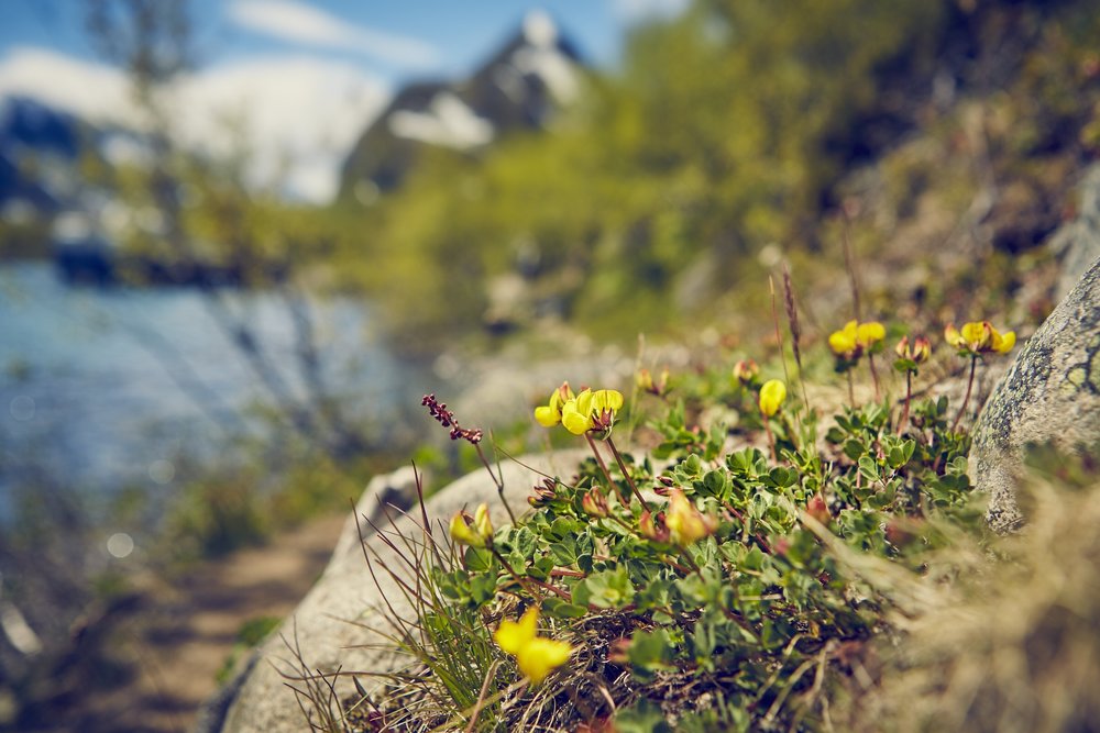 On foot along lake Gjende