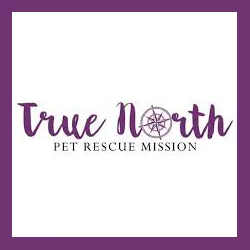 True North Rescue Mission New York, New York truenorthrescue.org @truenorthrescuemission