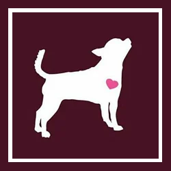 Long Way Home Adoptables Houston, Texas / Florida longwayhomeadoptables.org @lwhadoptables