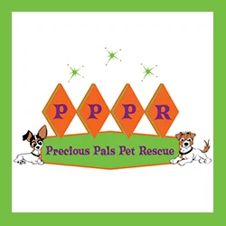 Precious Pals Pet Rescue Los Angeles, CA preciouspalspetrescue.org @preciouspalspetrescue