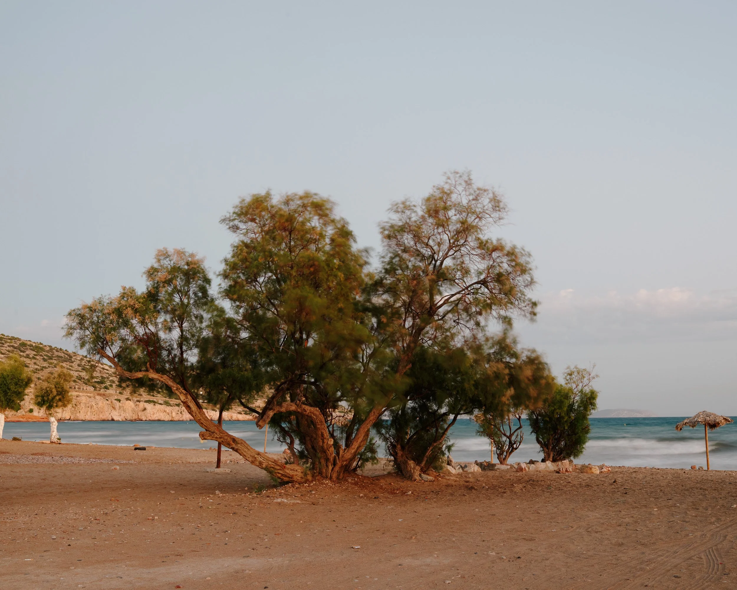 ShiftingCoastline_21.jpg