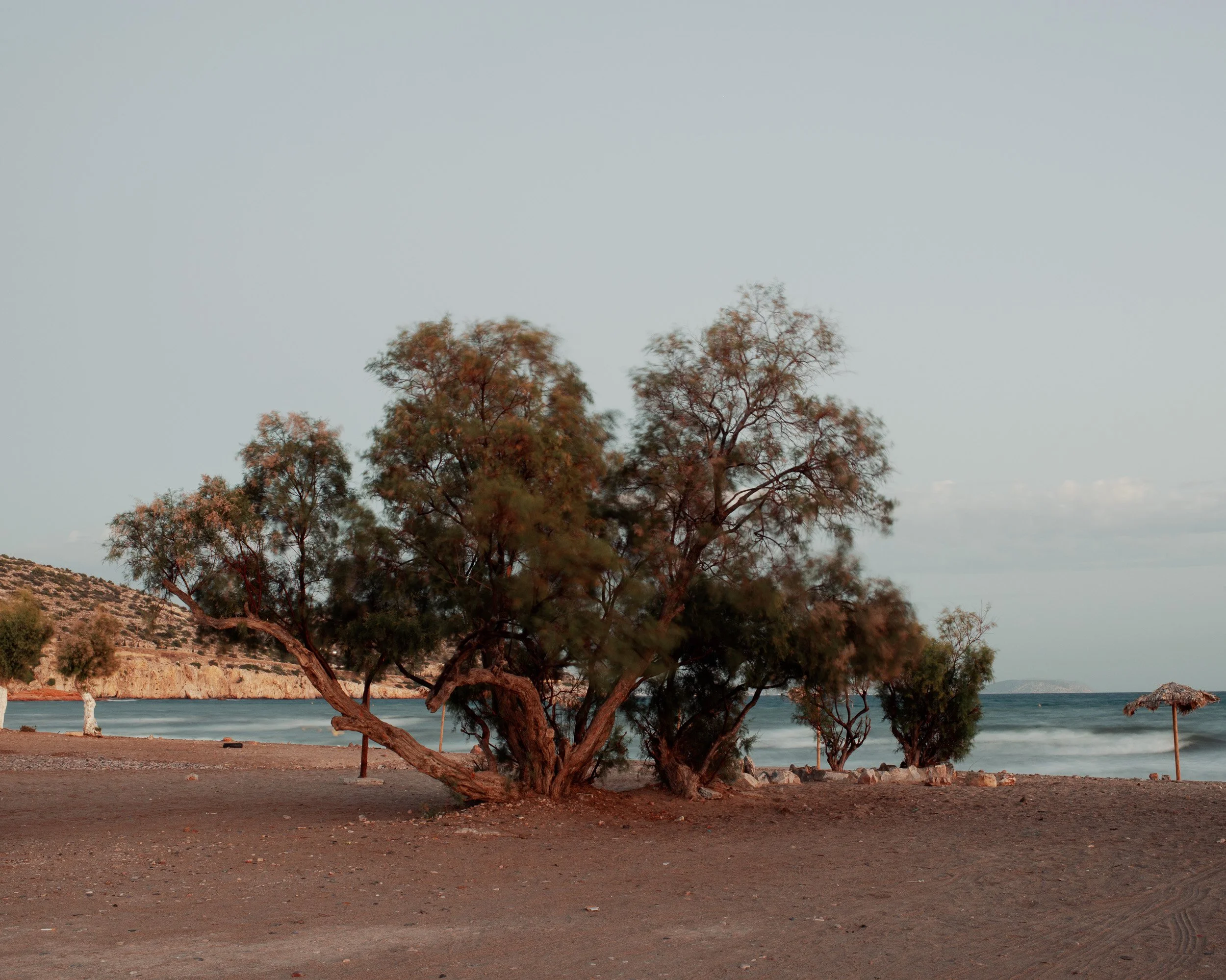 ShiftingCoastline_19.jpg