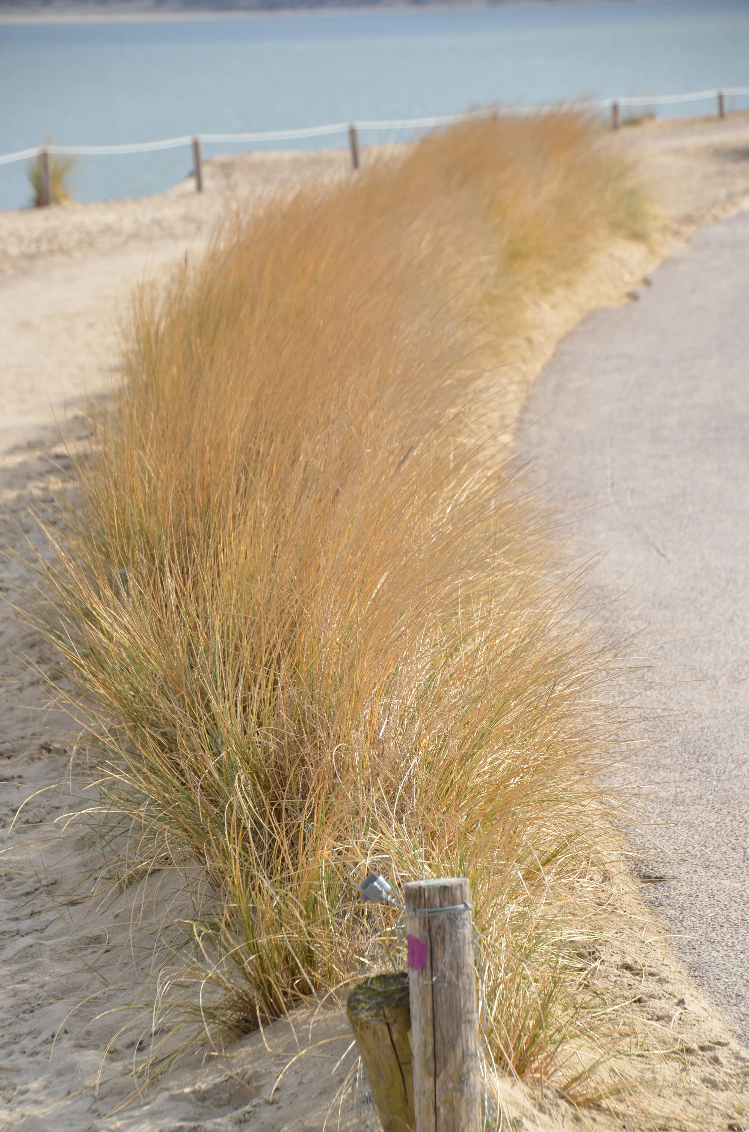 import de l ipad 1200.JPG