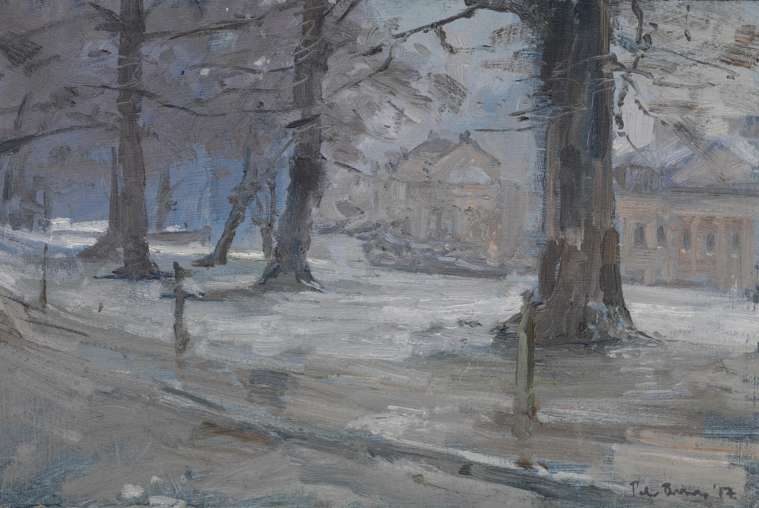 snowfall through the trees.jpg