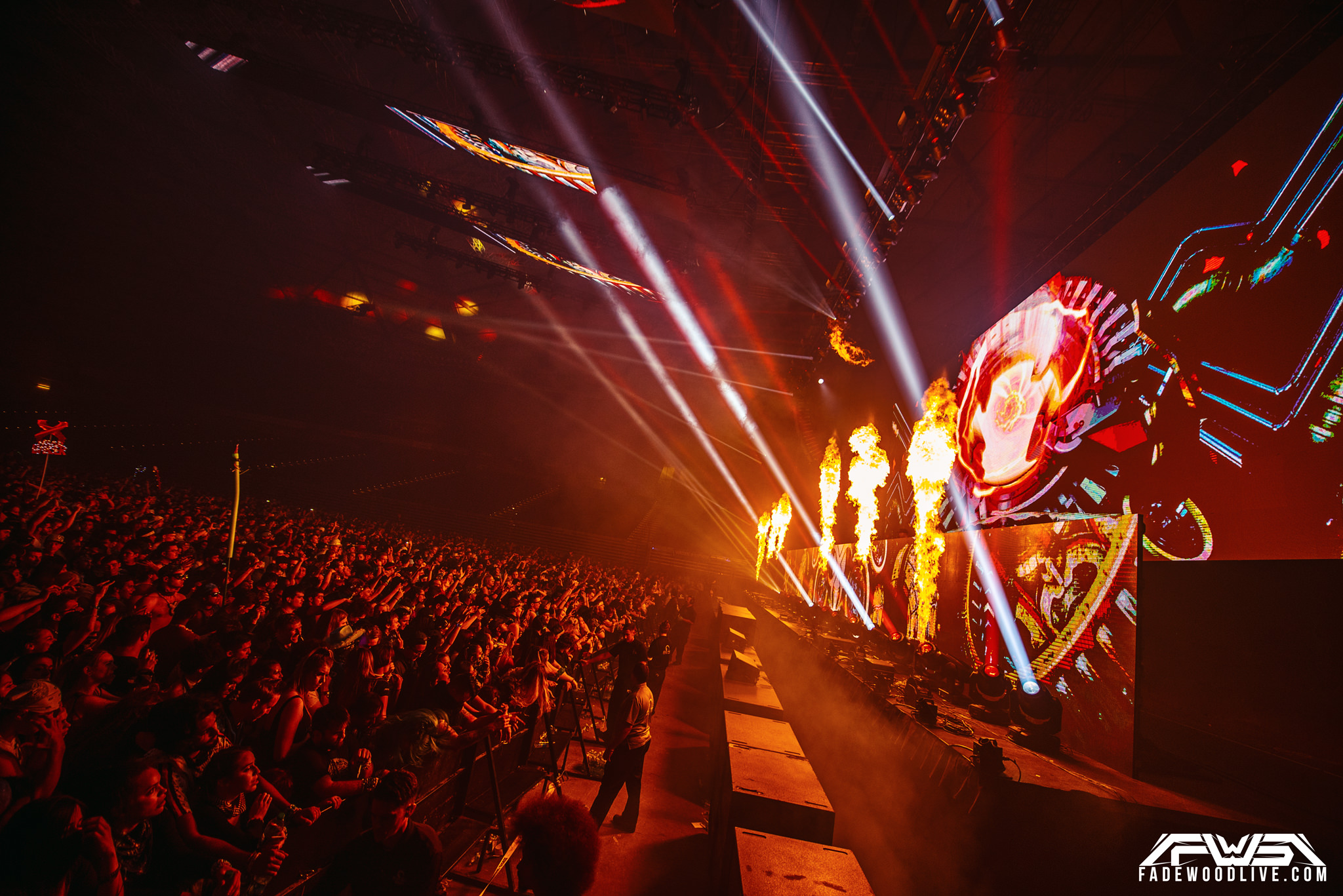 Excision