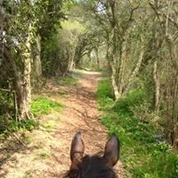 Bluebell Ride