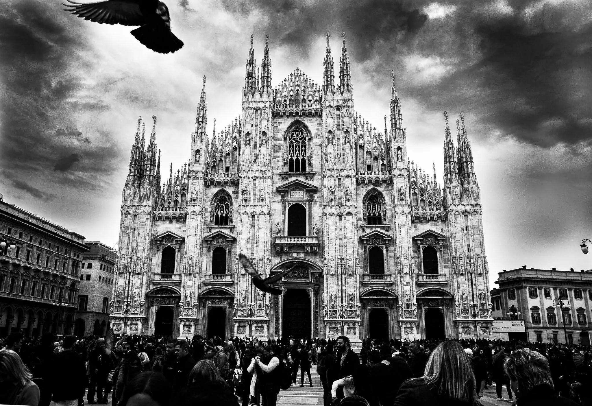 MaurizioCascone ph-32777.JPG