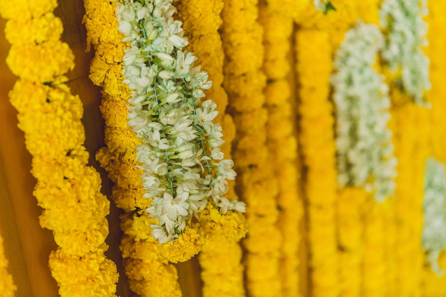 MinistryOfMemories_Falguni&Garette_Decor-69.jpg