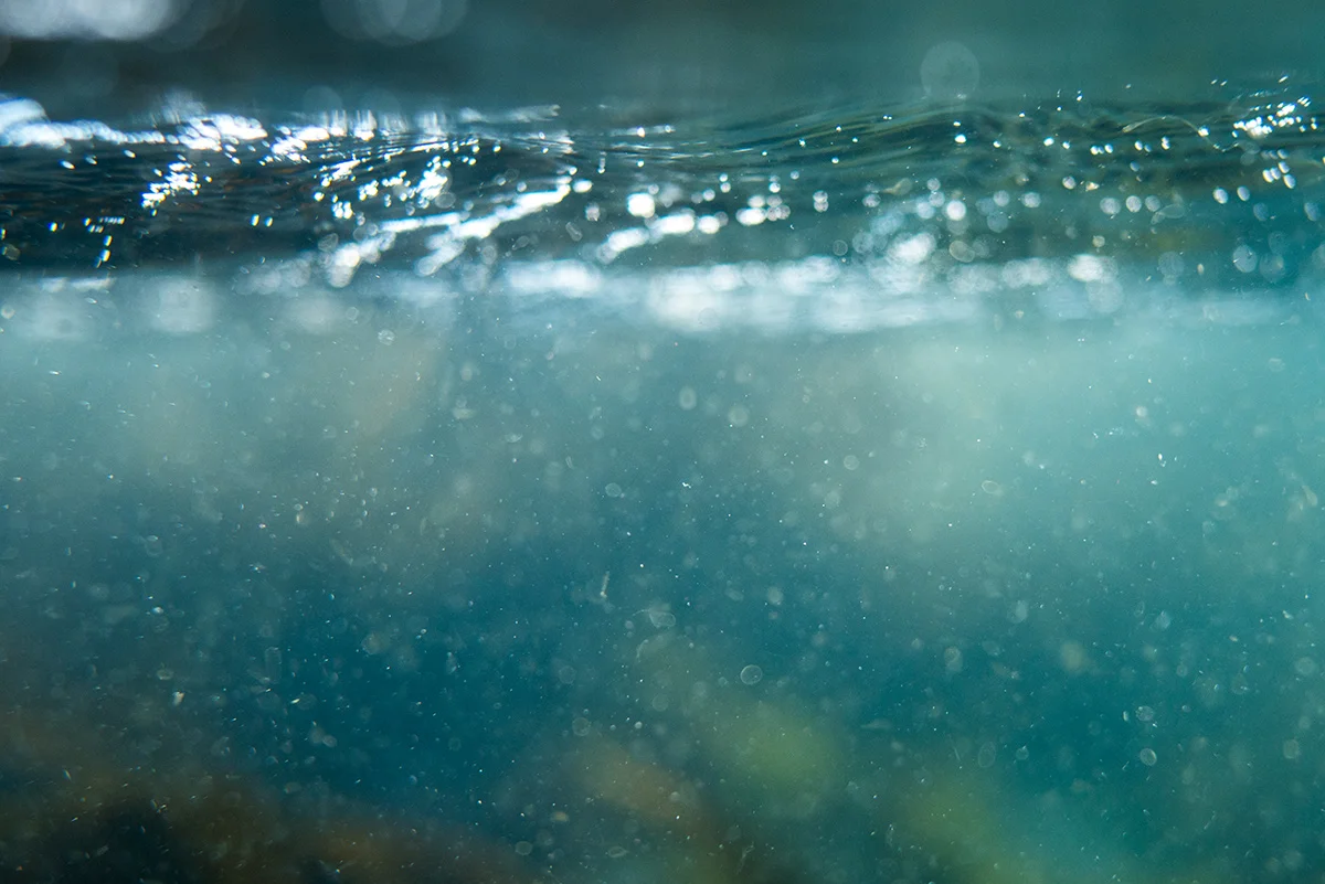 LovelyWater-01.jpg