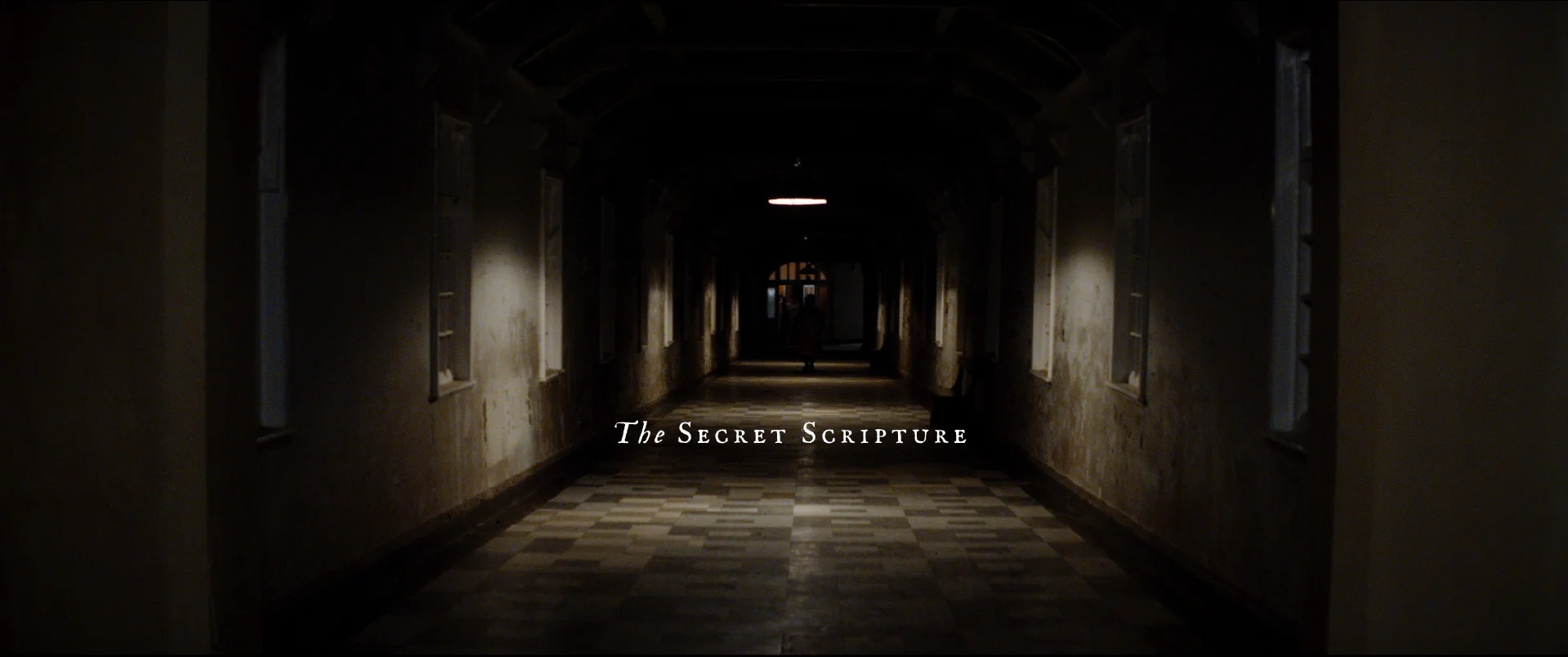 The Secret Scripture