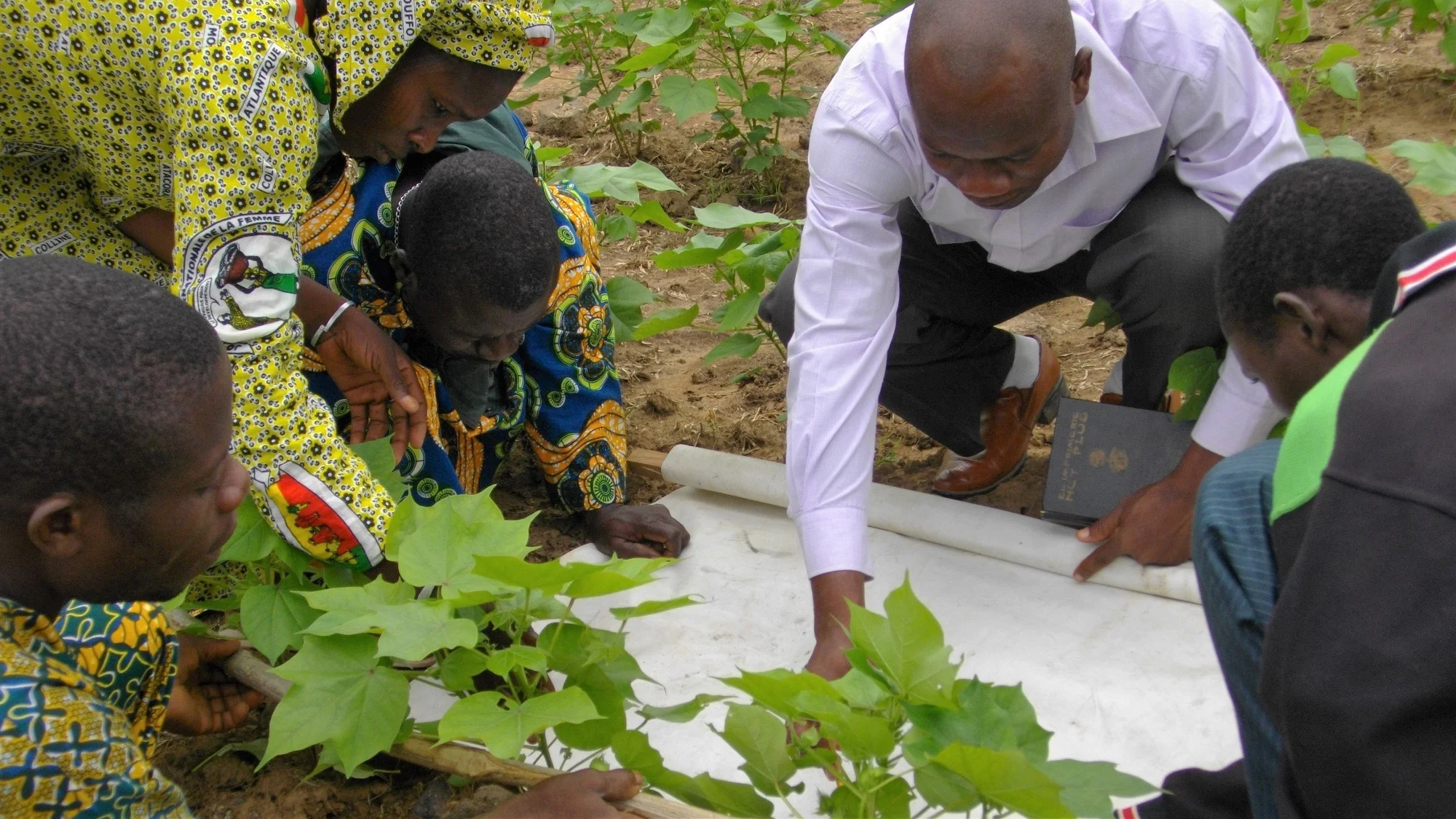 Benin-farmer-field-school.jpg