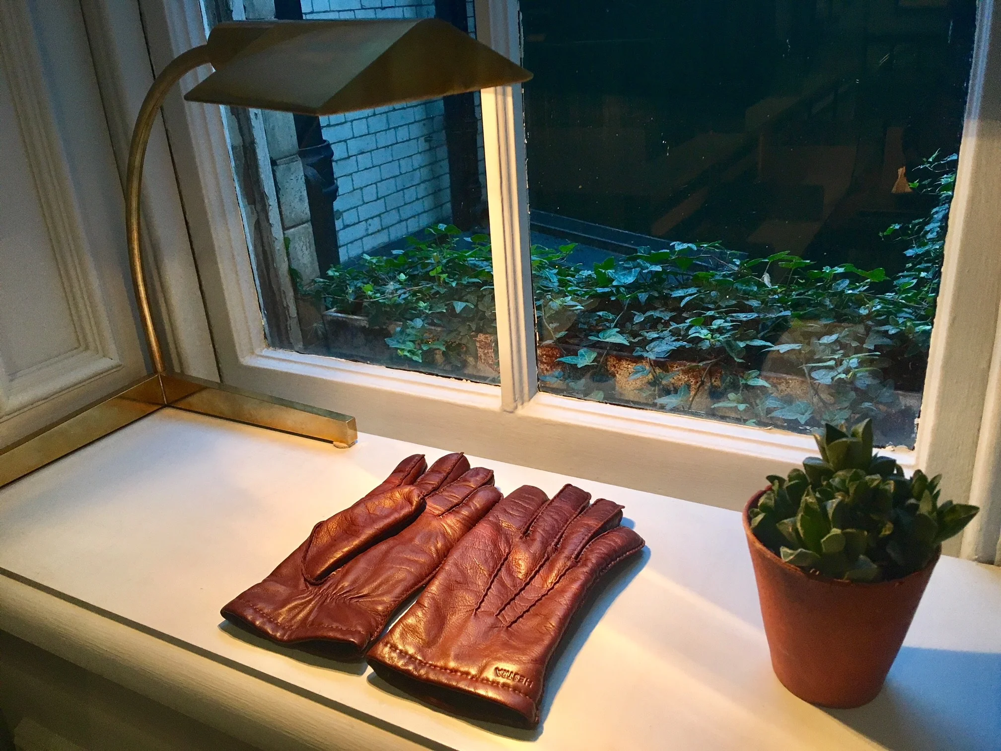 Gloves.jpg