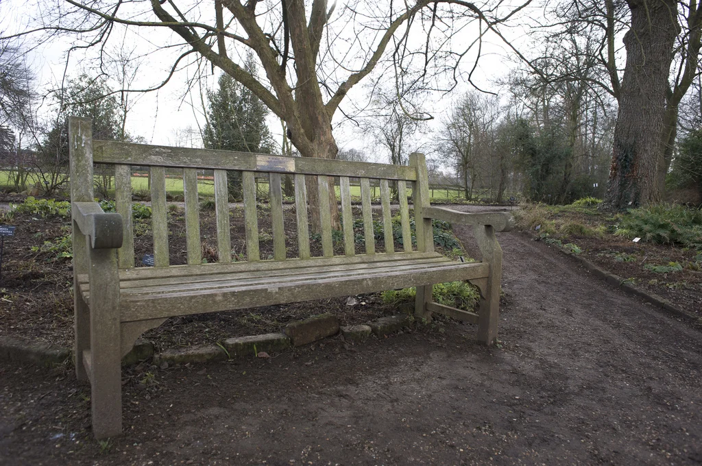 Photograph courtesy of Mike Knell .