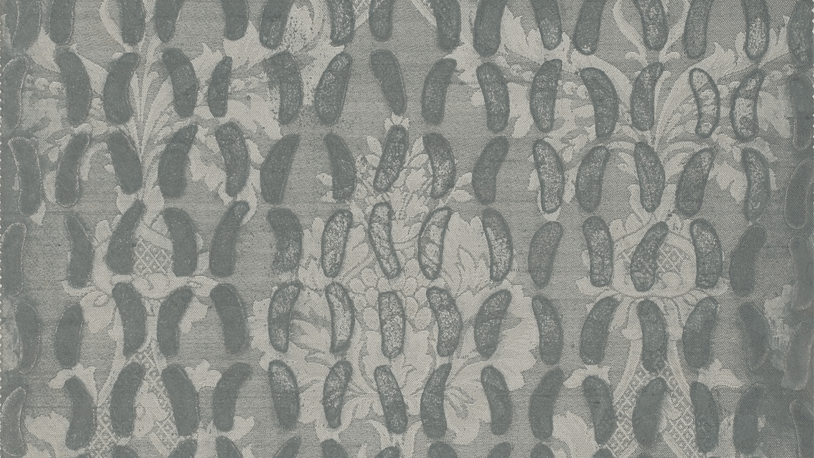 Marco-Anastasi_Damasco_animazione-2.gif