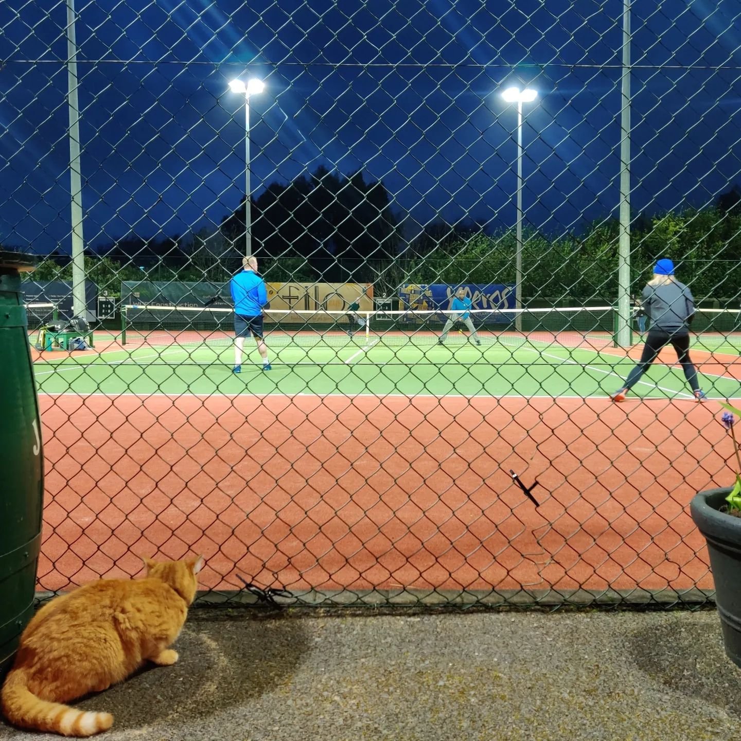 Club cat Oscar just loves watching tennis. Sometimes a bit too much ➡️ swipe to see tournament director Andy having to remove him from court. Don't interrupt game play Oscar! Lovely doubles rally in the final slide #ZurichCityOfDublinChampionships