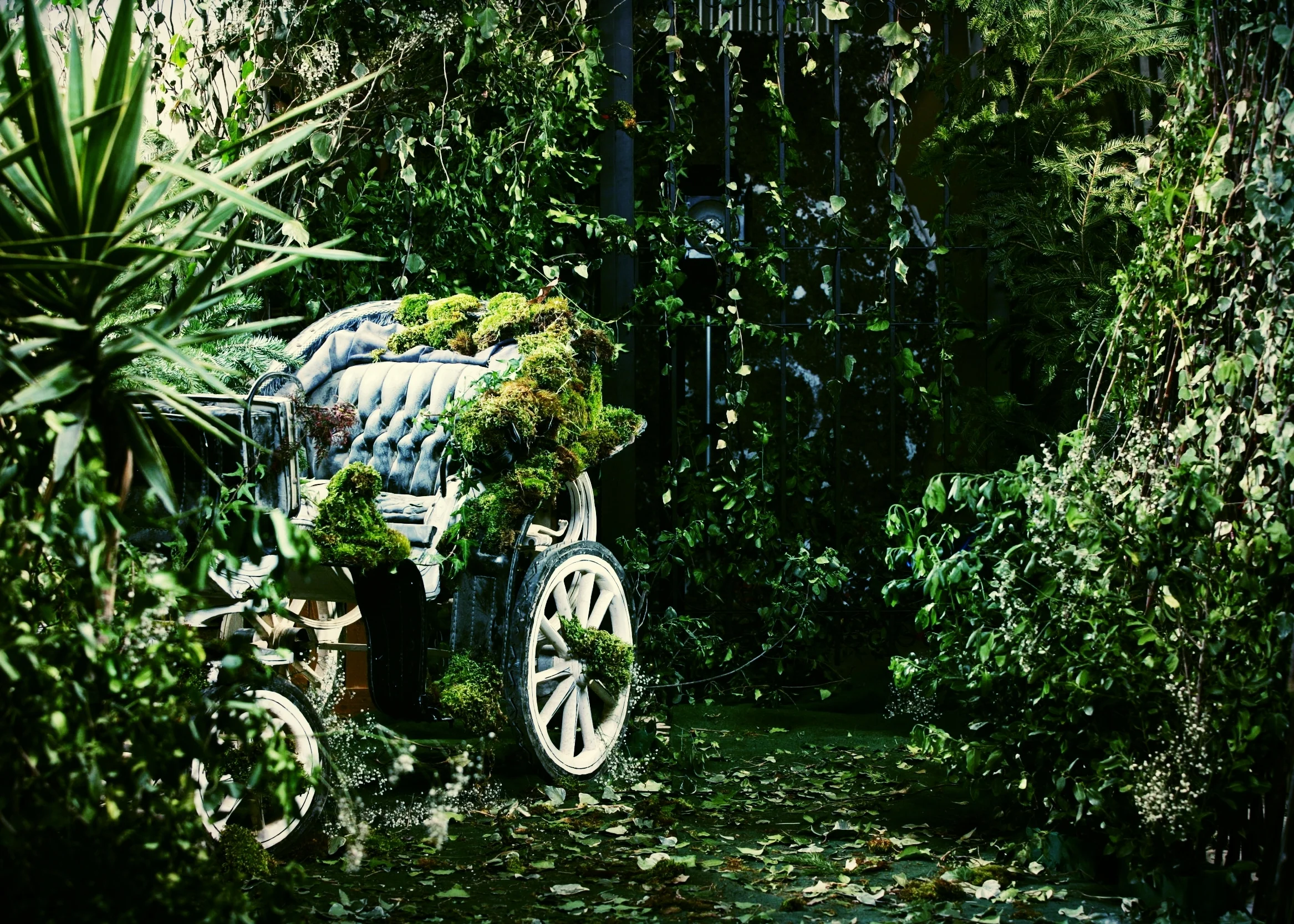 Garden  (Copy) (Copy)
