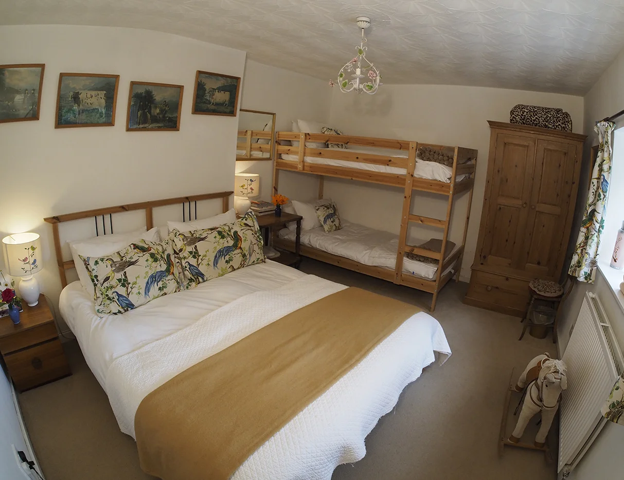 george cottage june 18 EM5 (23).JPG