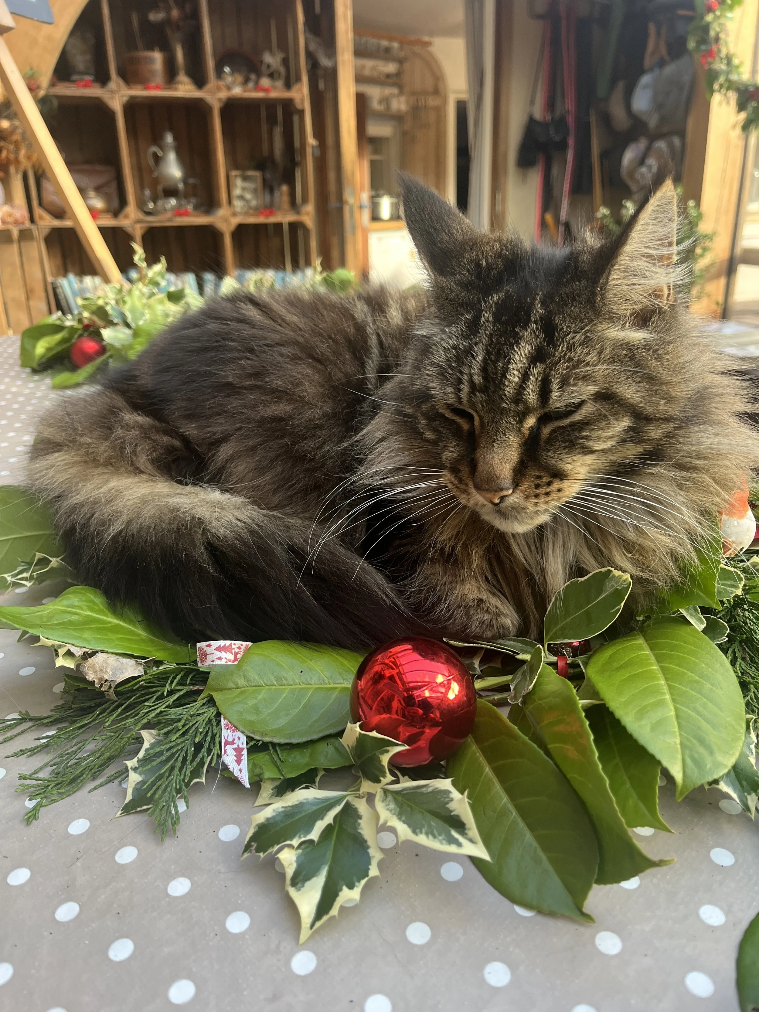 mill end christmas (26).jpg