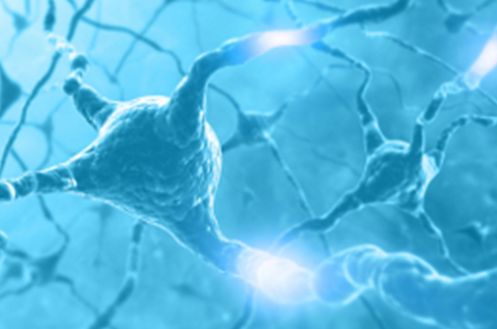 neurons-done.jpg