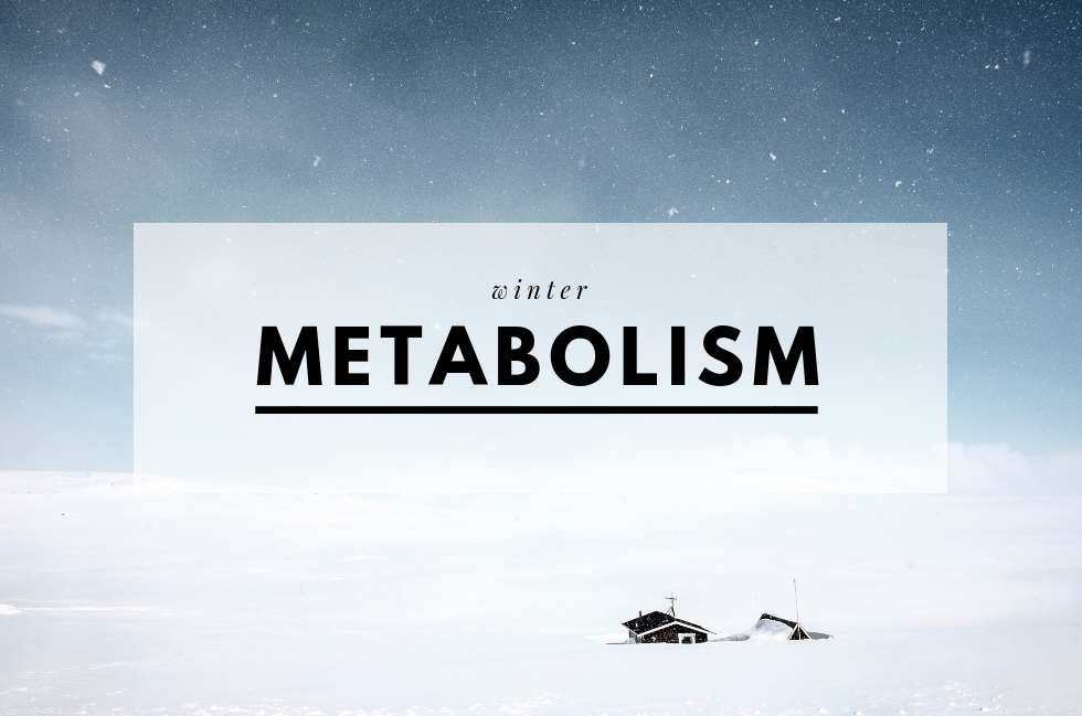 winter-metabolism.png