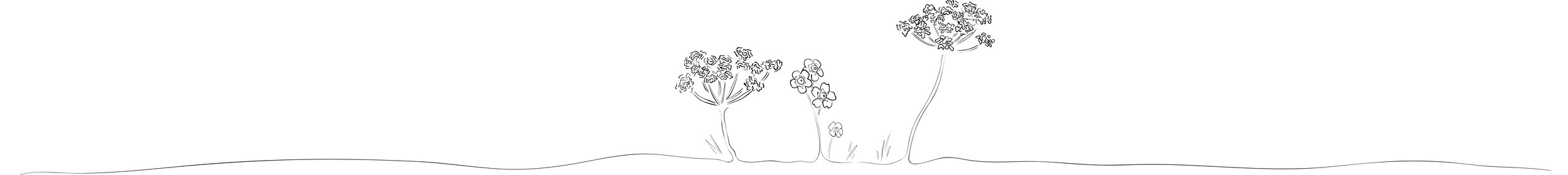 Dividers_Arrangement 3 copy.jpg