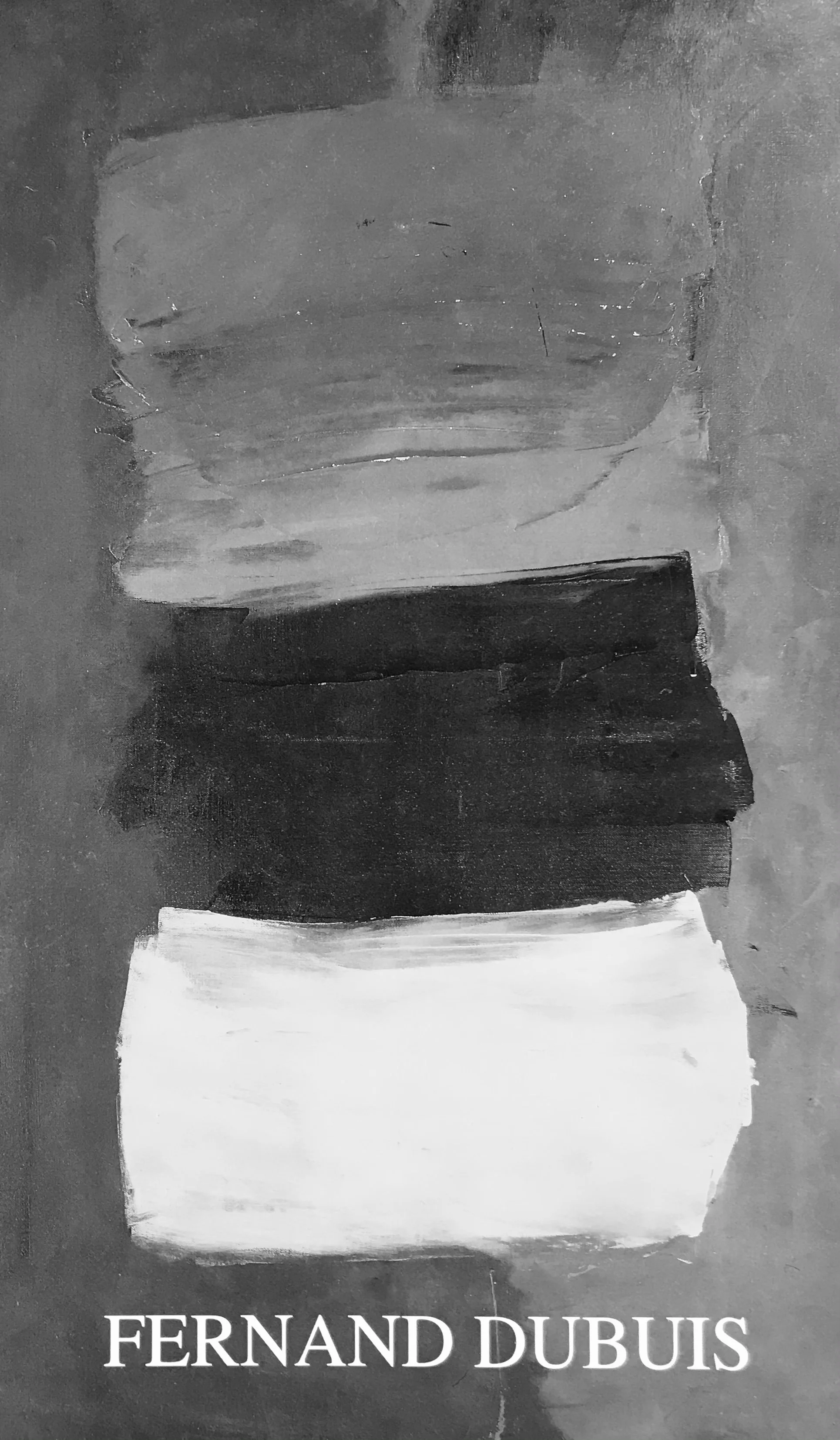 LITERATURE - FERNAND DUBUIS - LA VIE DES COULEURS QUI N EN FONT QU UNE.jpeg