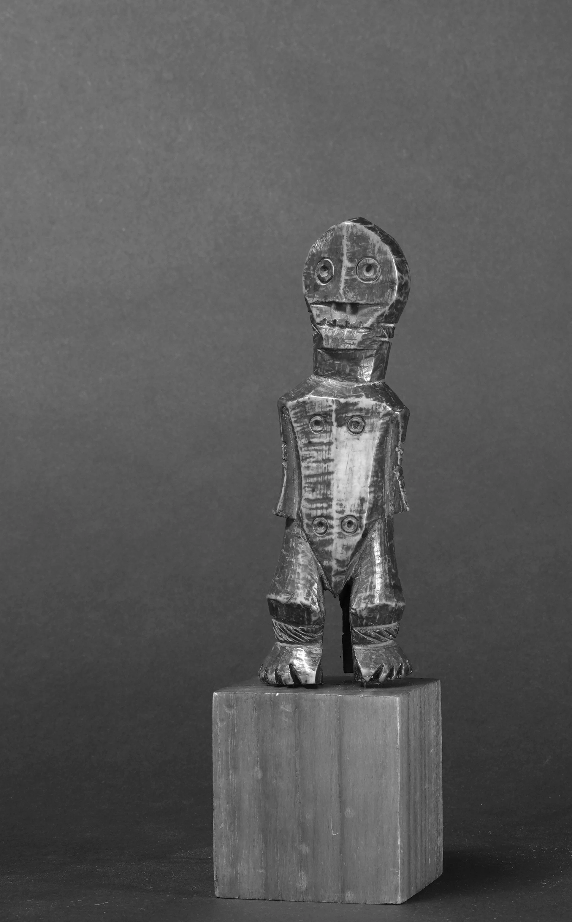 FIGURE~1.JPG
