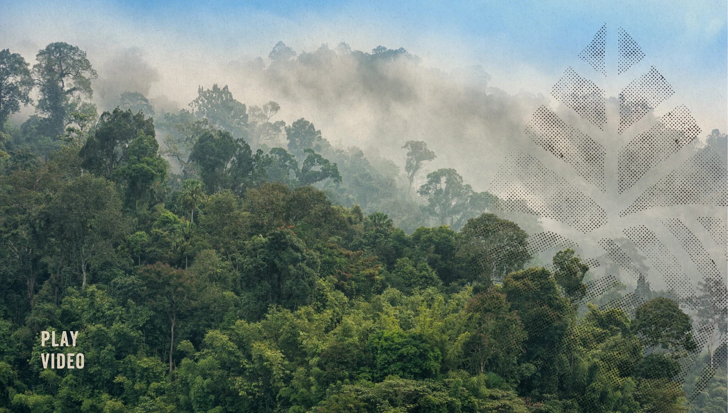 Agency credit : Cygnus