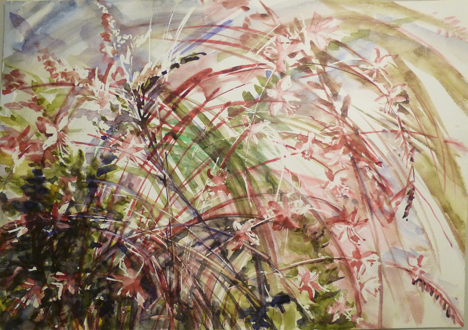 herbes folles .jpg