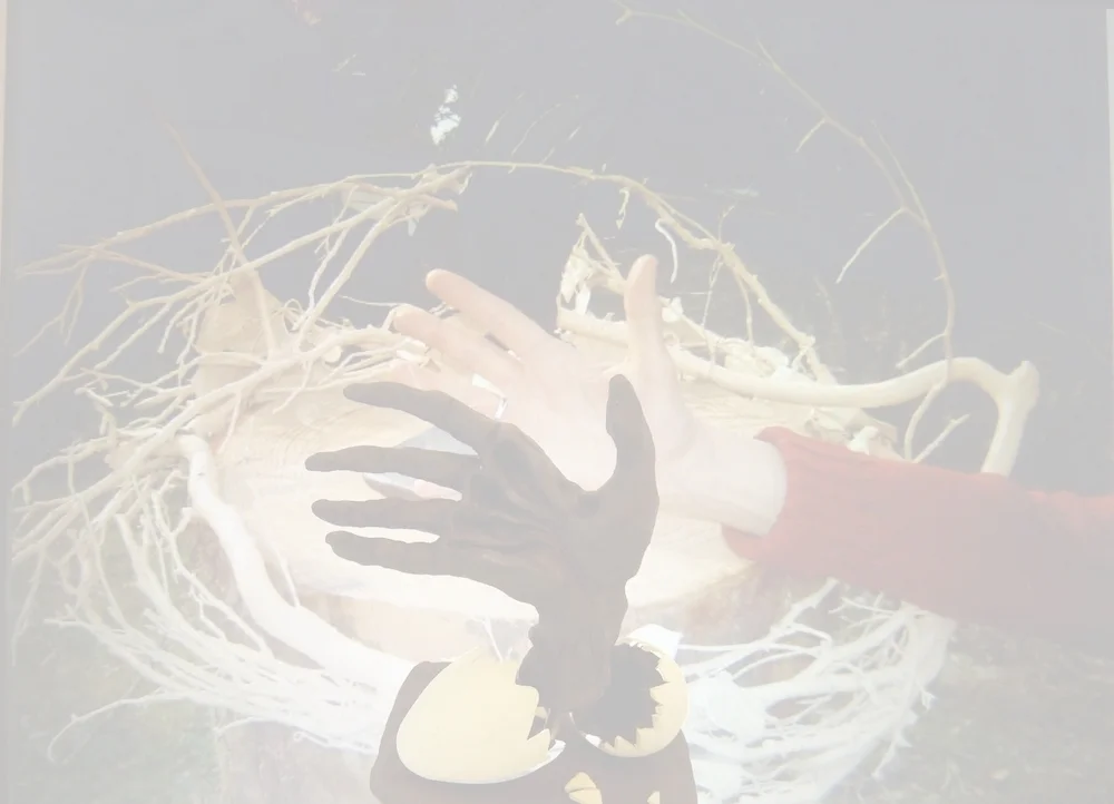 image représentative INSTALLATIONS.jpg
