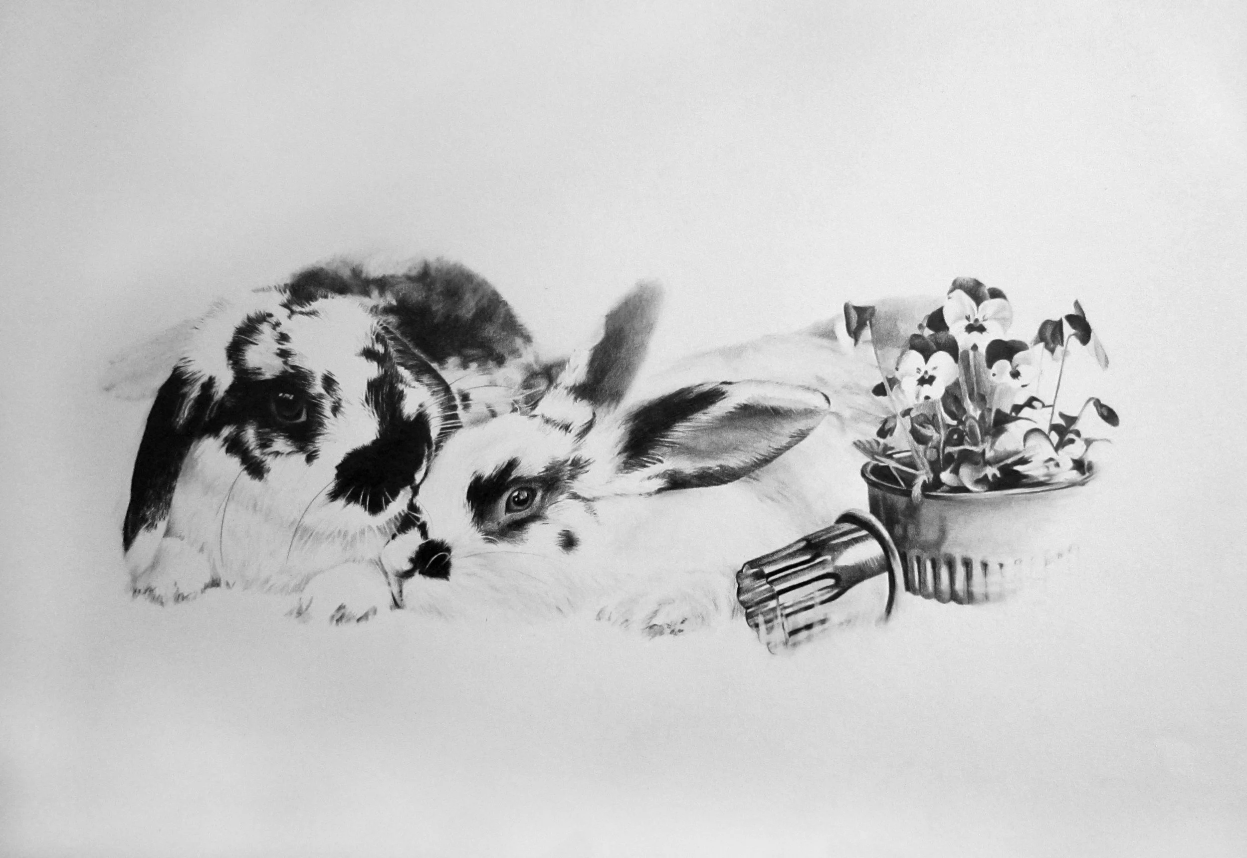 Commissioned