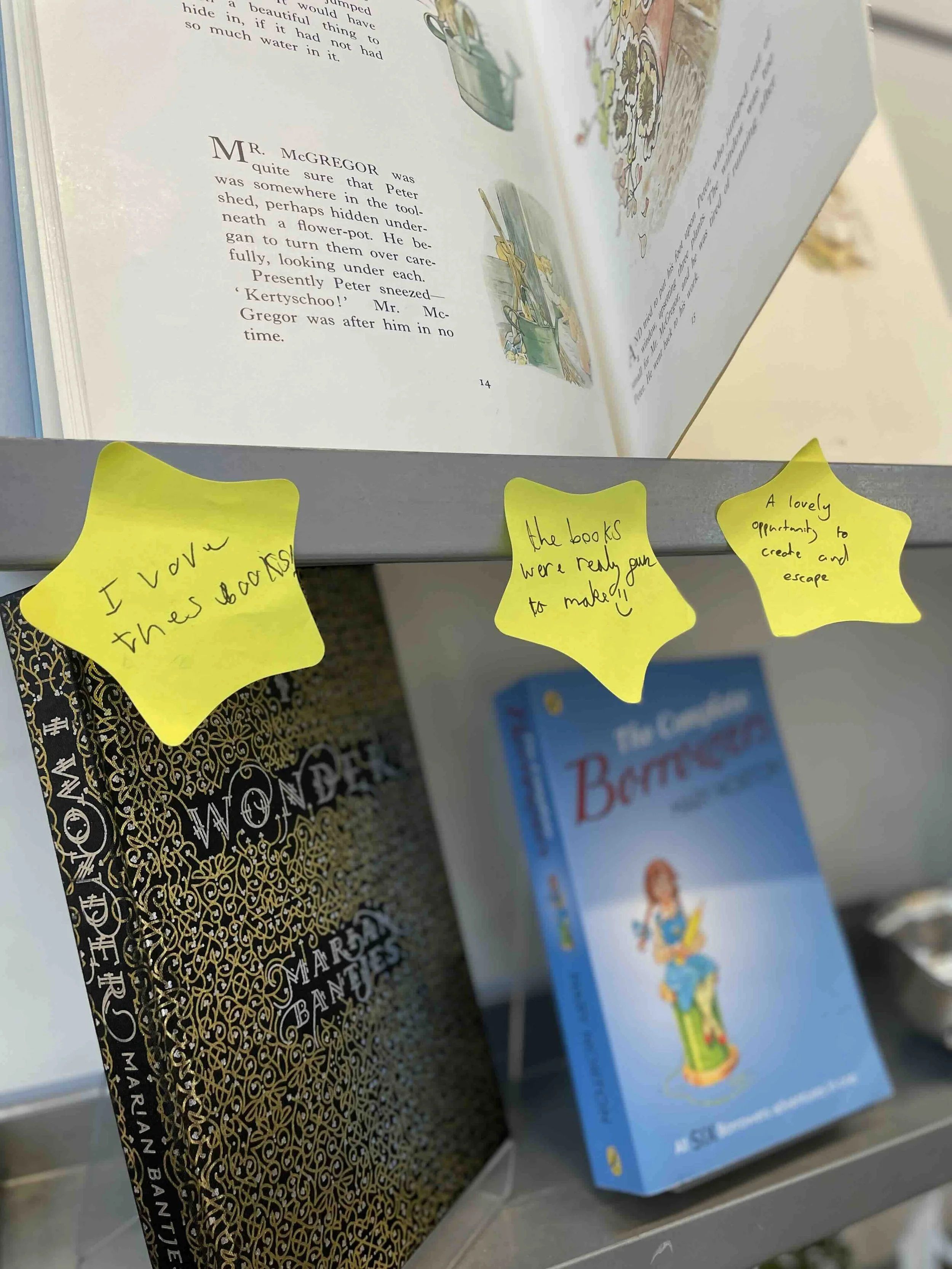 IMG_3119 2 copy.jpeg