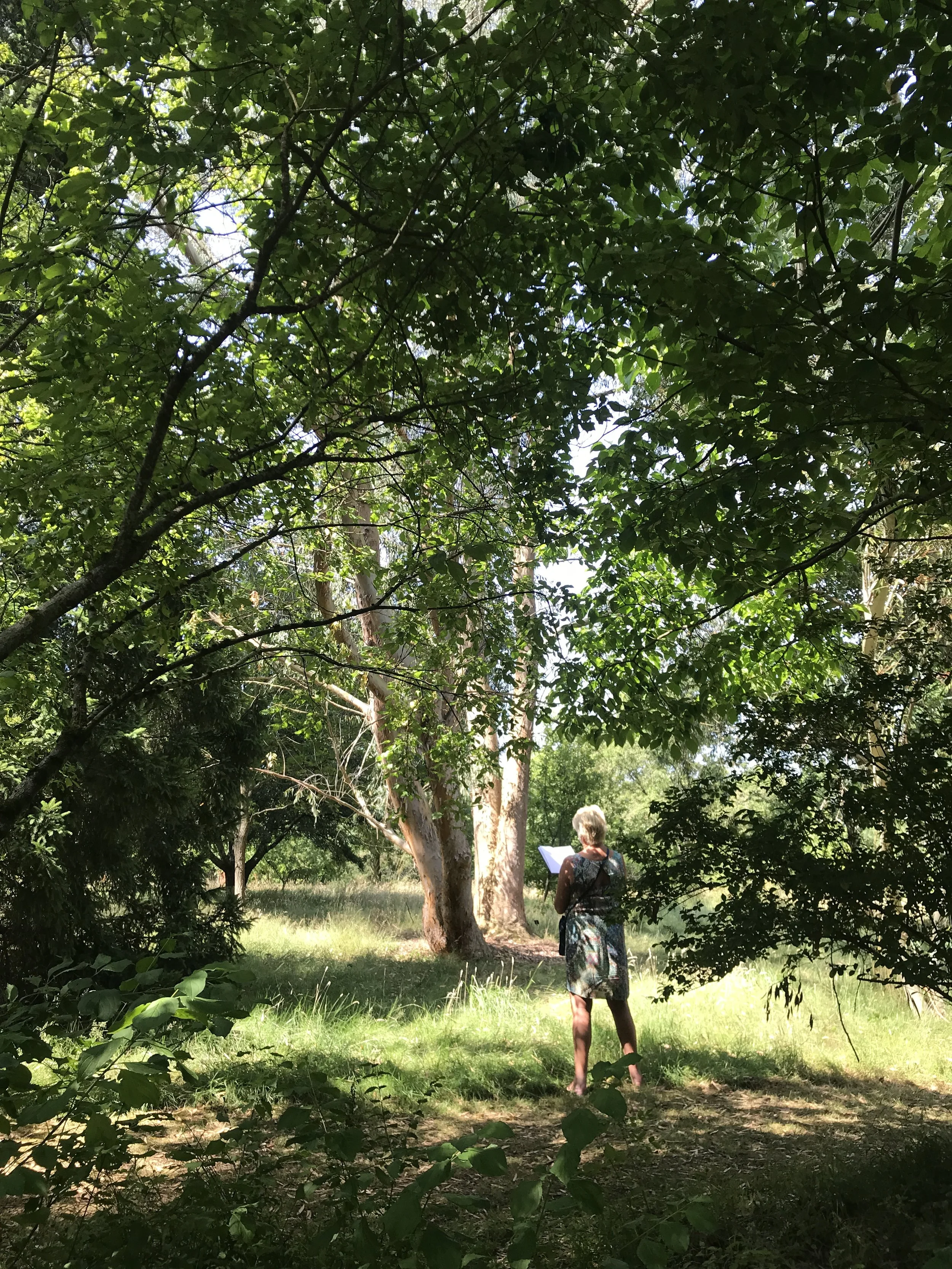 Walk, Talk and Draw