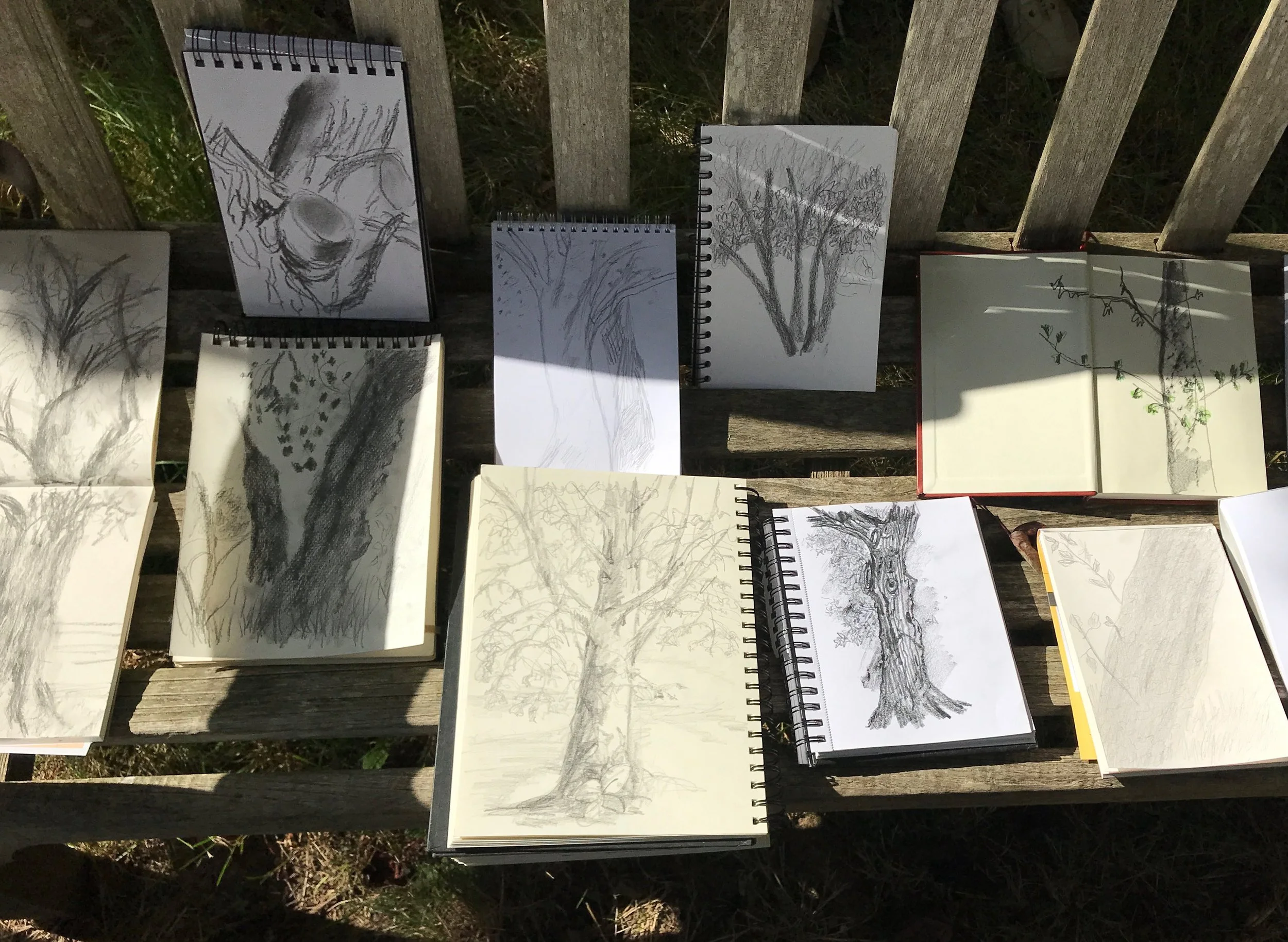 E Hammond_Walk Talk and Draw 1.jpg