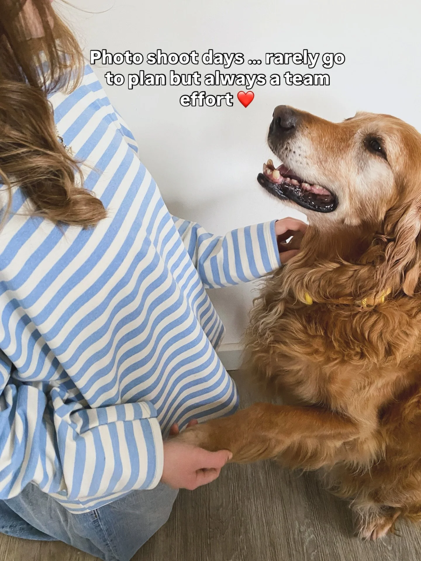 Always a team effort here - including our four legged family members and visitors!

We had a spring arrivals photo day this week and whilst our four legged visitor wasn&rsquo;t meant to be part of it, she was very happy to join in - and we are glad t