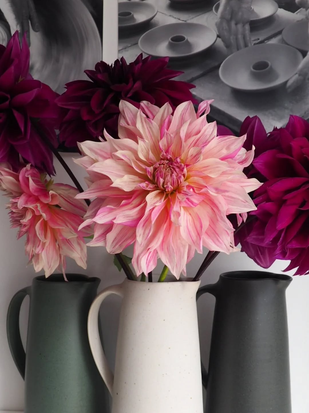 There's nothing like a dahlia to steal the limelight 🌸 These gorgeous flowers from @woodlane.flowers have completely brightened up my day in the studio. 

#dahlia #handmadejug #shoplocal #buyhandmade #potterystudio