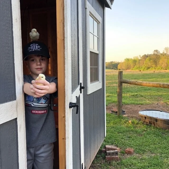 Farmer Spotlight: Forward Thinking Farms