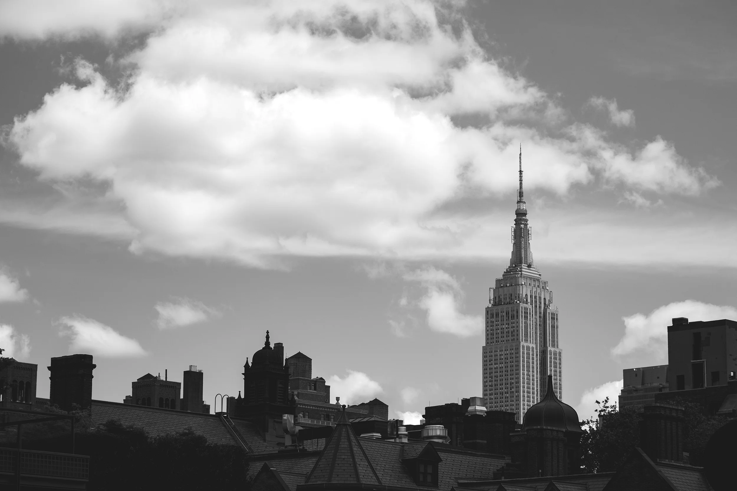 NYC_0006.jpg