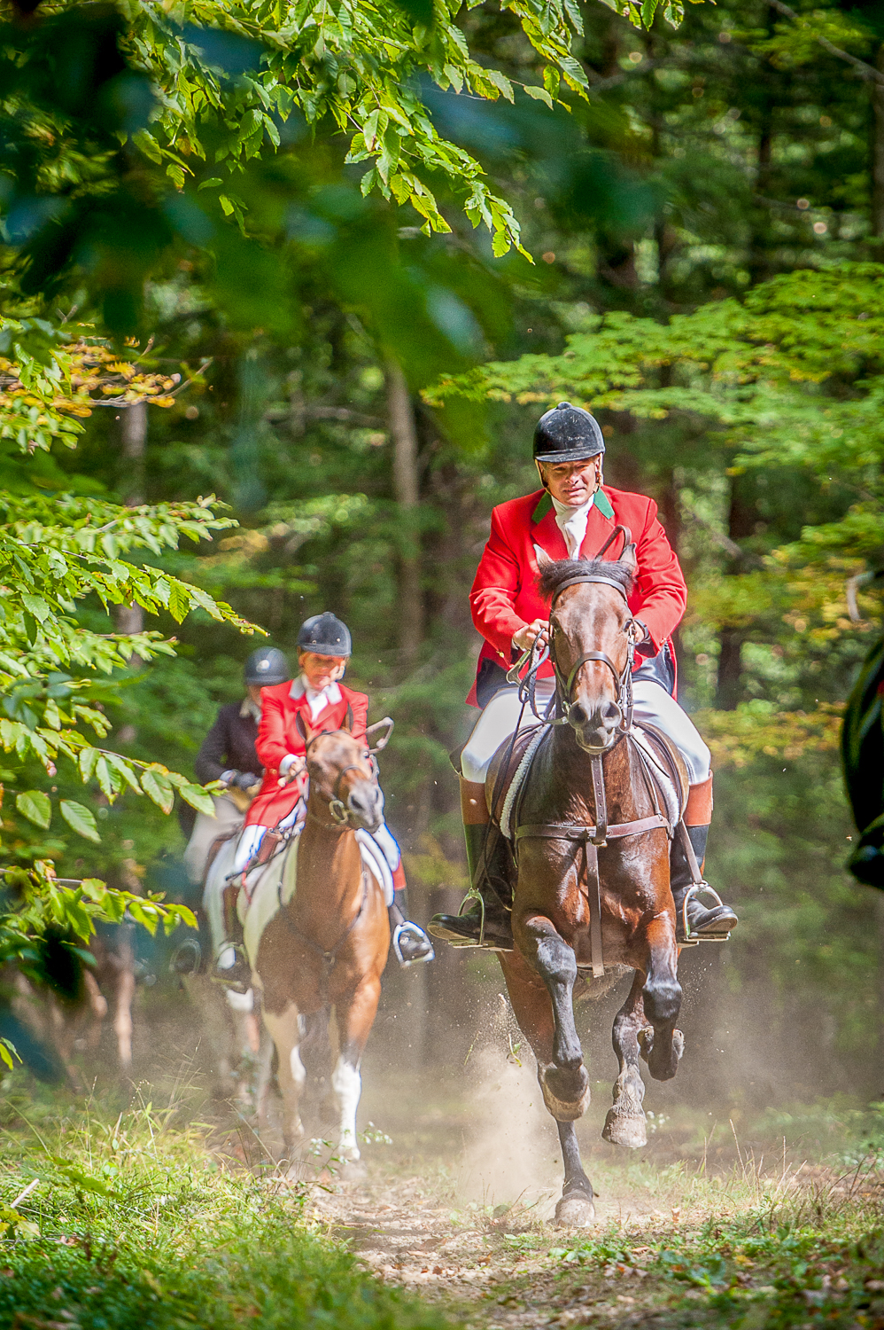  Riders race up a wooded path during the Chagrin Valley Fox Hunt. 