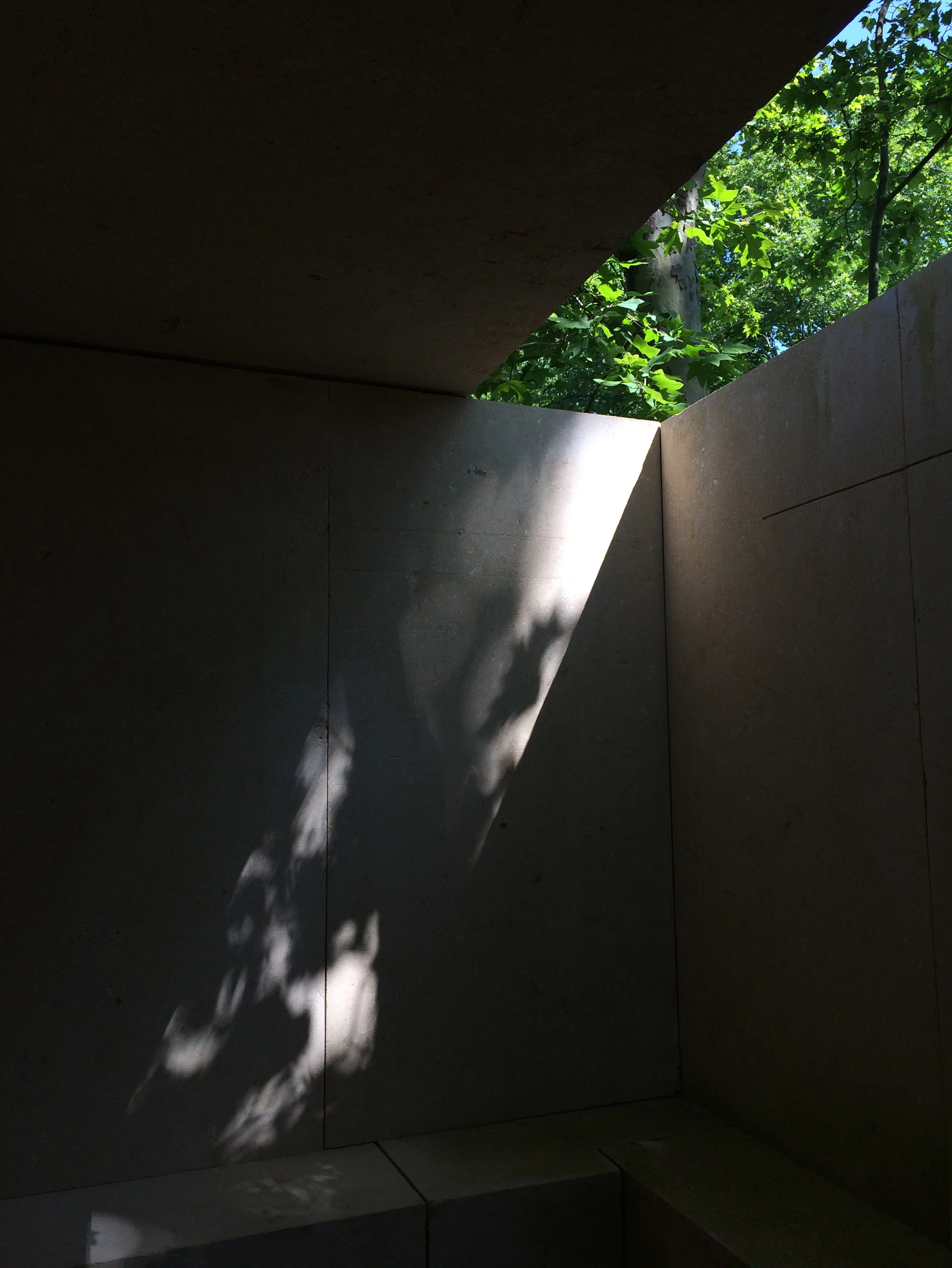 A shaft of dappled sunlight through trees - architecture