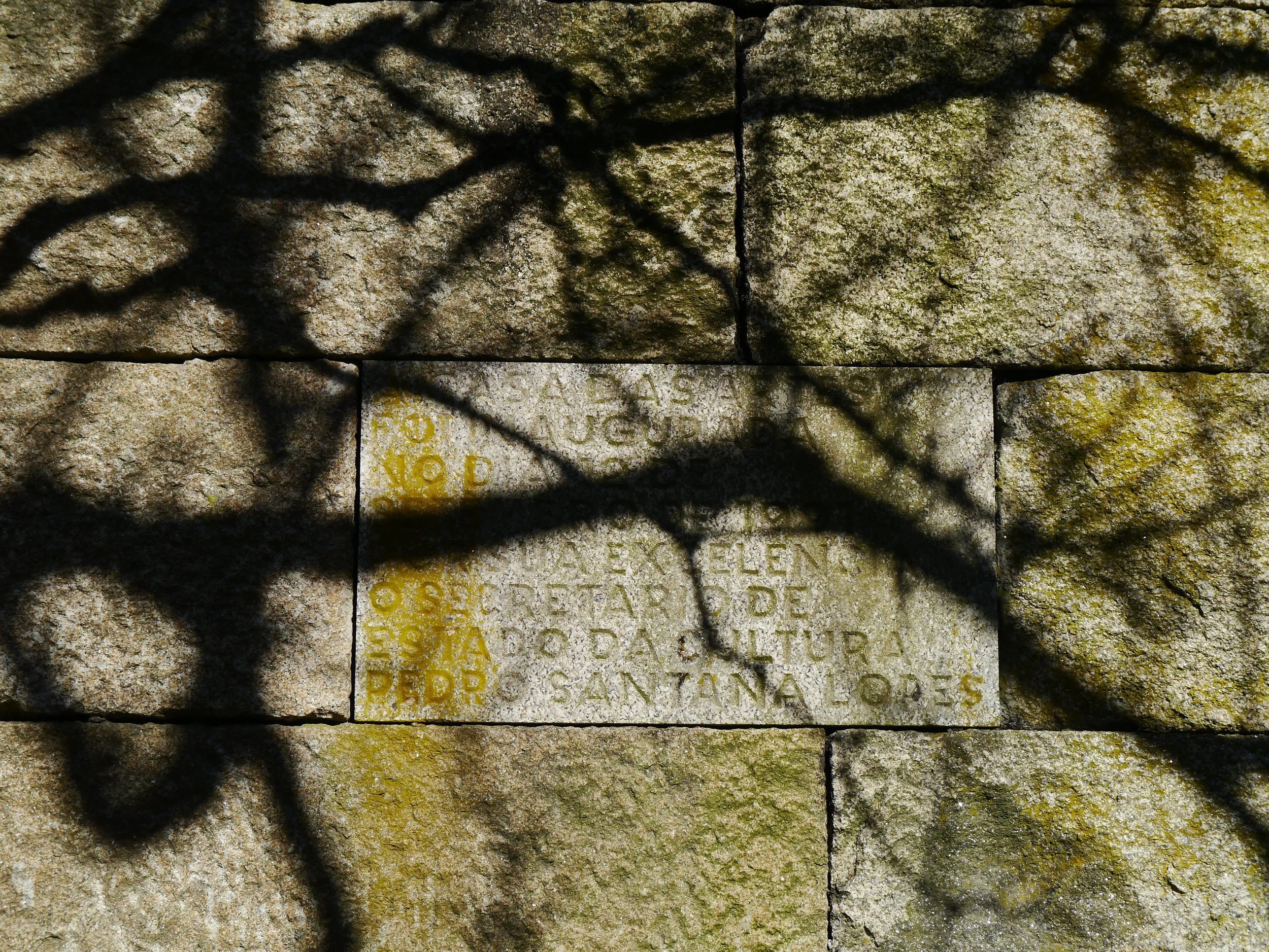 Shadows through trees on stone block wall. Casa Das Artes by architect Souto Moura - Porto