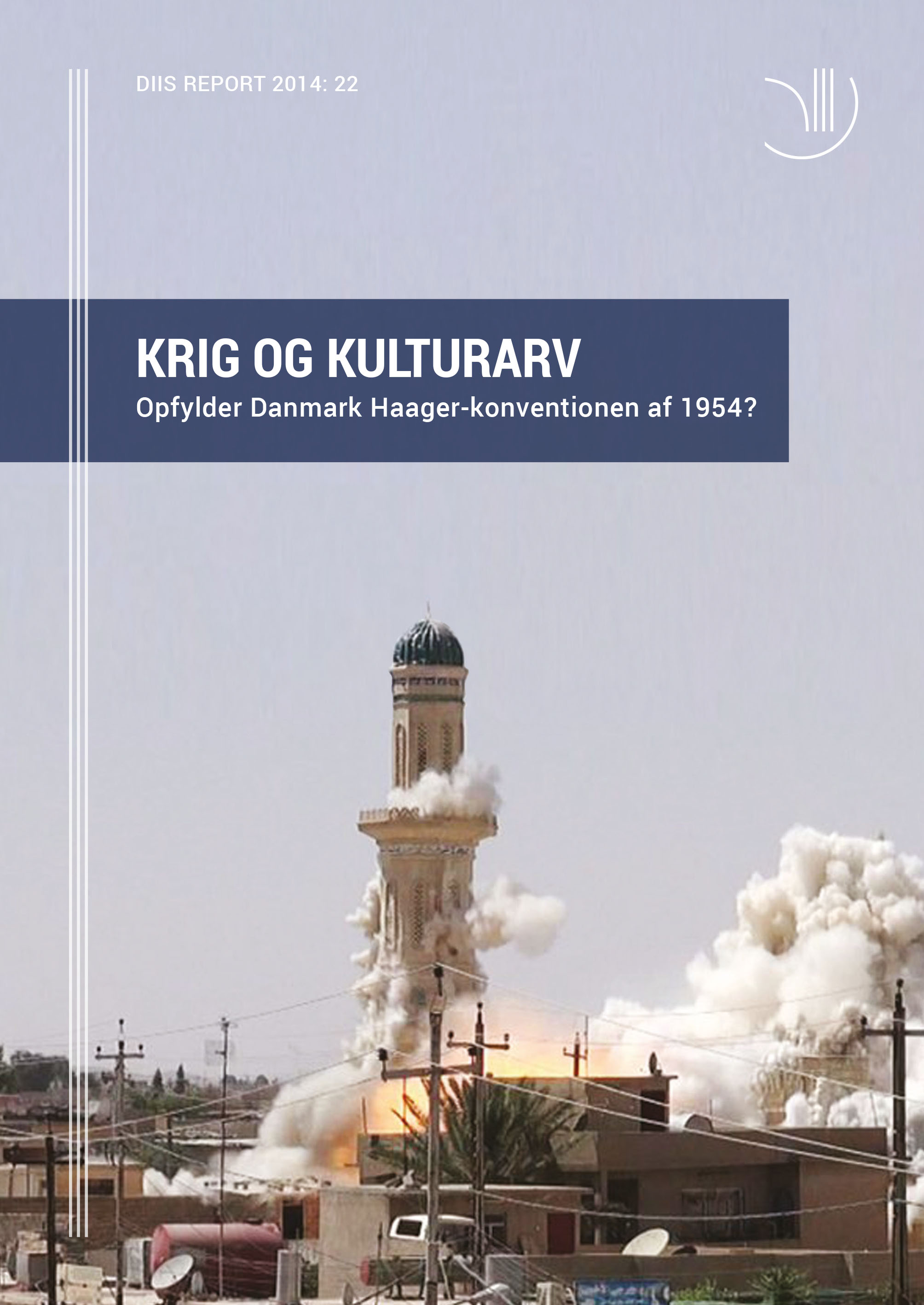 diisreport2014-22-x5.1.jpg