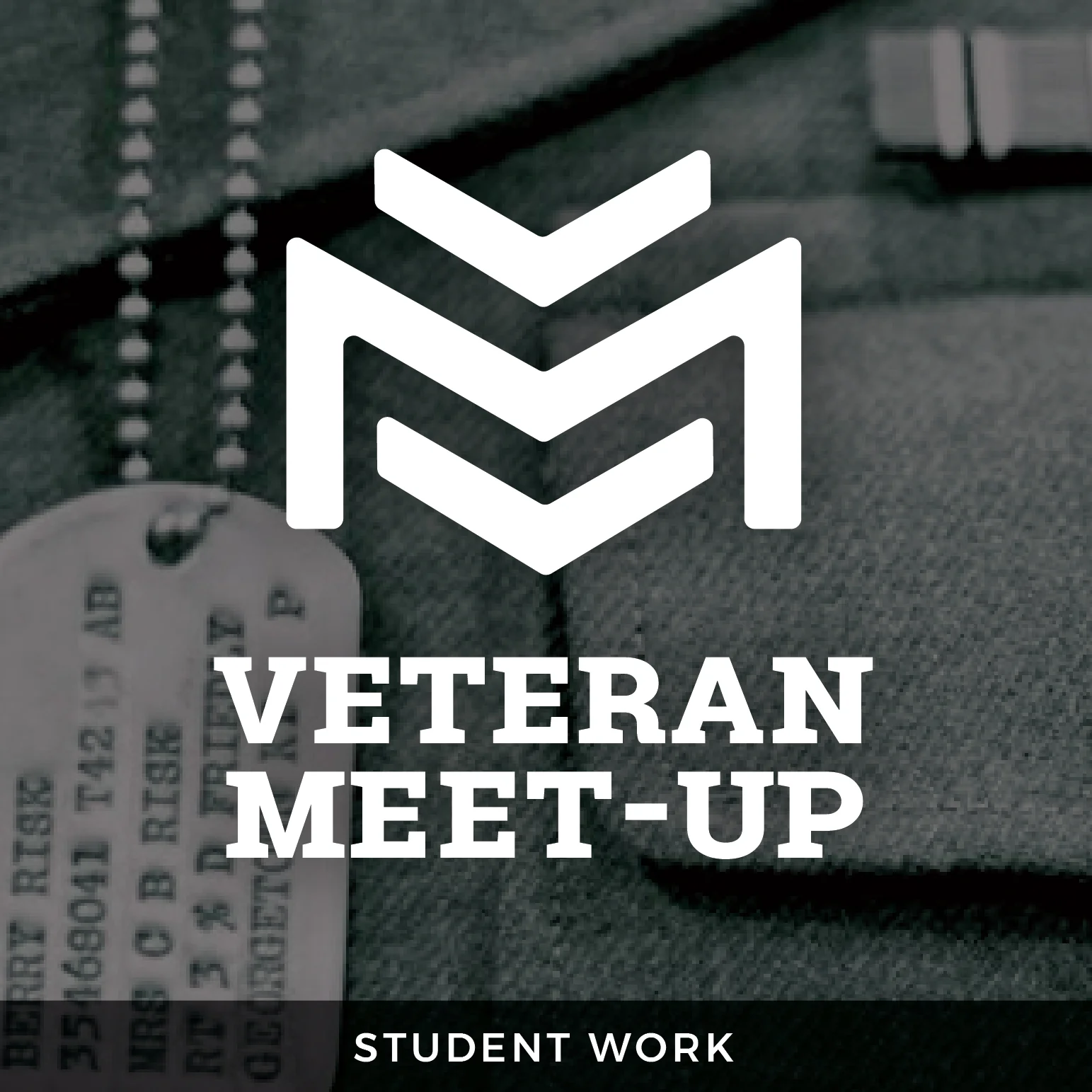 vmu_page_image SW-01.jpg