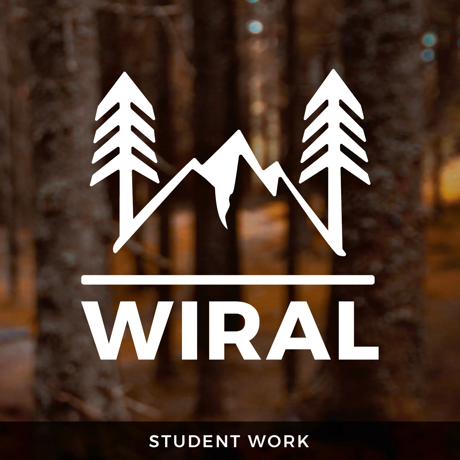 wiral_page_image SW-01.jpg