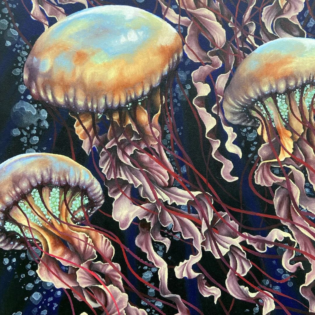 Jellyfish Web Image-01.jpg