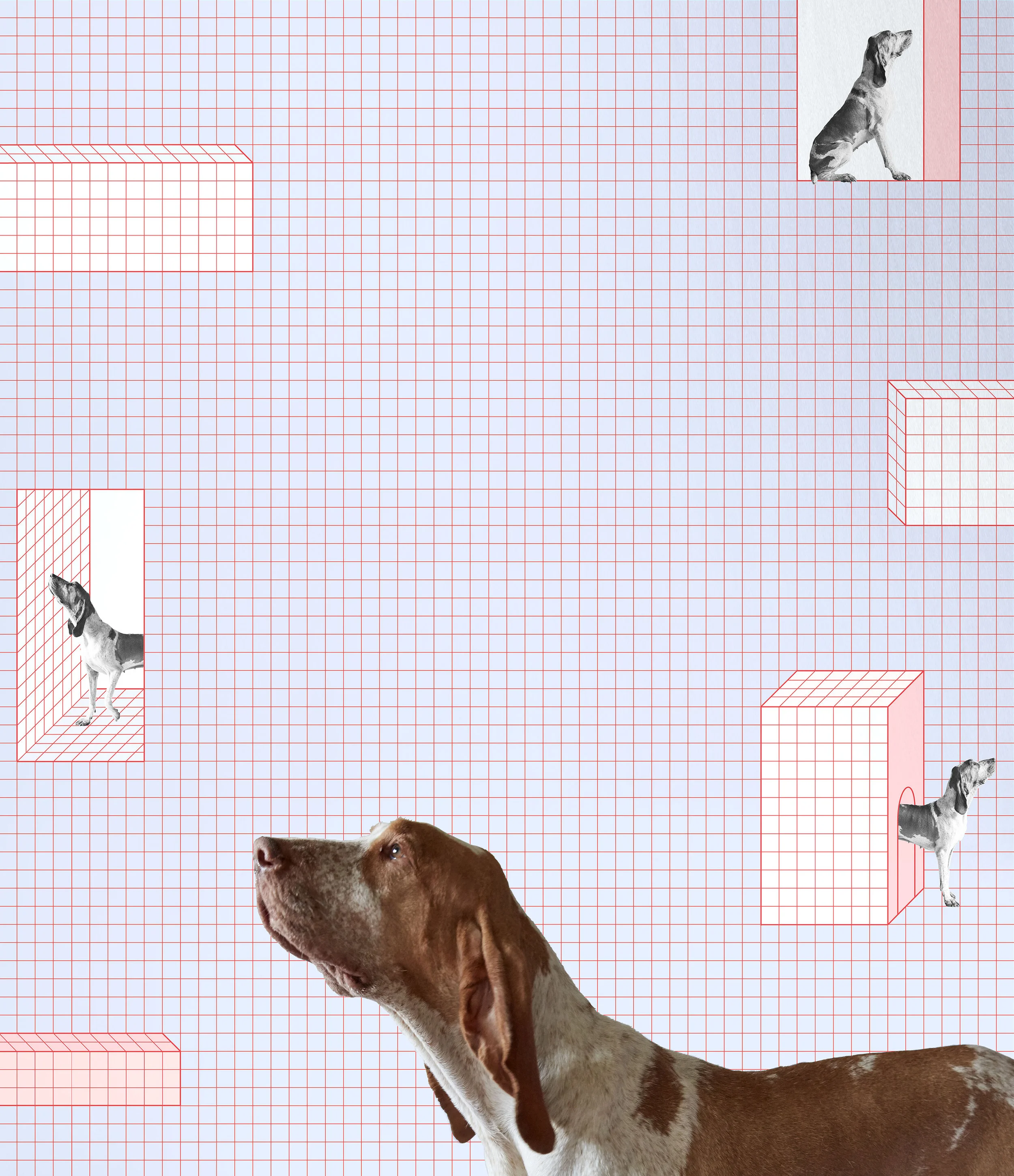 copertina.jpg