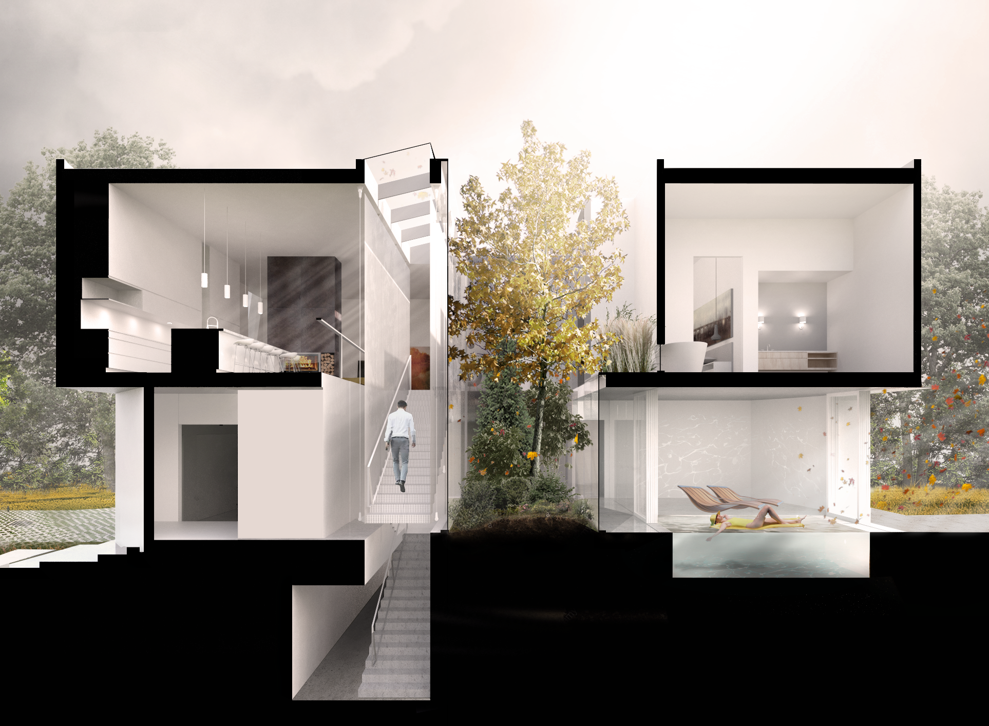 360SectionRender.png