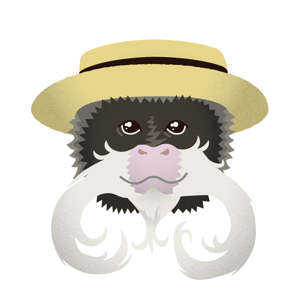 tamarin.png