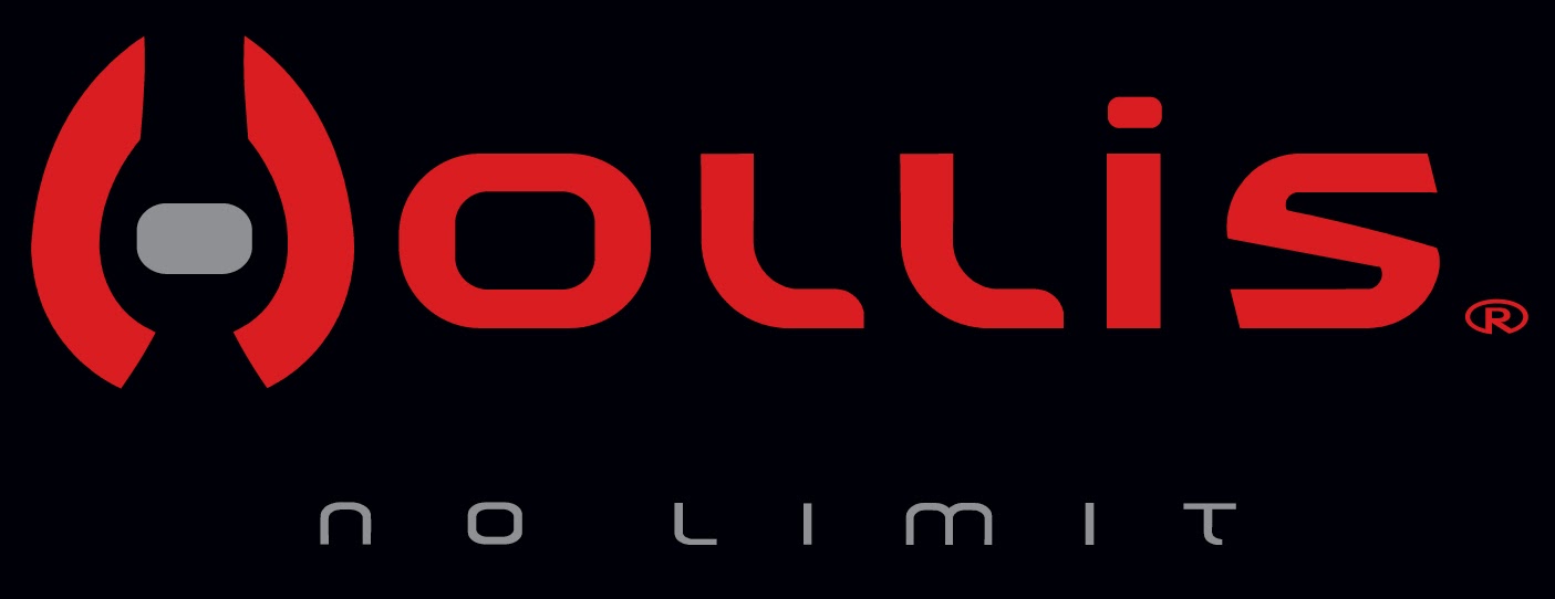 Hollis-logo.jpg